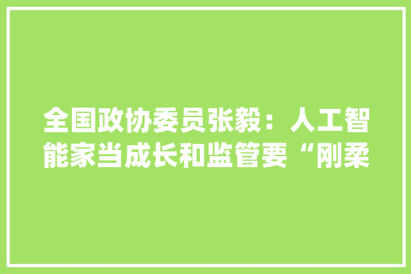 全国政协委员张毅：人工智能家当成长和监管要“刚柔并济” 避免过度监管成为成长“紧箍咒”_人工智能_算法 智能问答