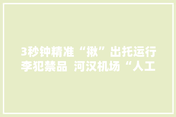 3秒钟精准“揪”出托运行李犯禁品  河汉机场“人工鹰眼”首获安然判图“10万+”_机员_安检 智能助手