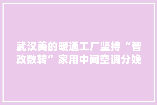 武汉美的暖通工厂坚持“智改数转”家用中间空调分娩全程实现人工智能检测_工场_暖通