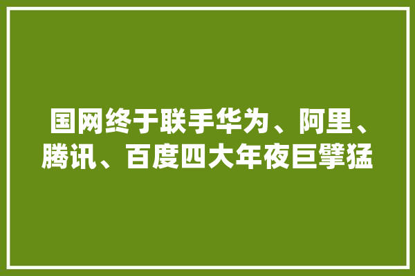 国网终于联手华为、阿里、腾讯、百度四大年夜巨擘猛砸“数字新基建”_互联网_能源 文字写作