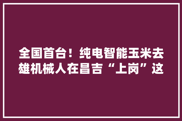 全国首台！纯电智能玉米去雄机械人在昌吉“上岗”这些操作有点酷_玉米_功课 科技快讯