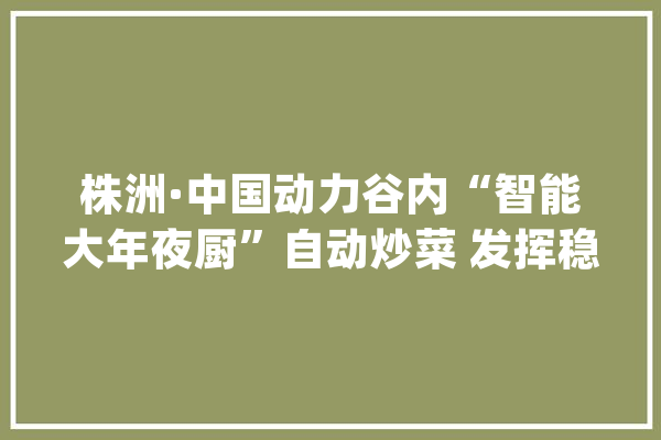 株洲·中国动力谷内“智能大年夜厨”自动炒菜 发挥稳定 口感获好评_年夜厨_就能