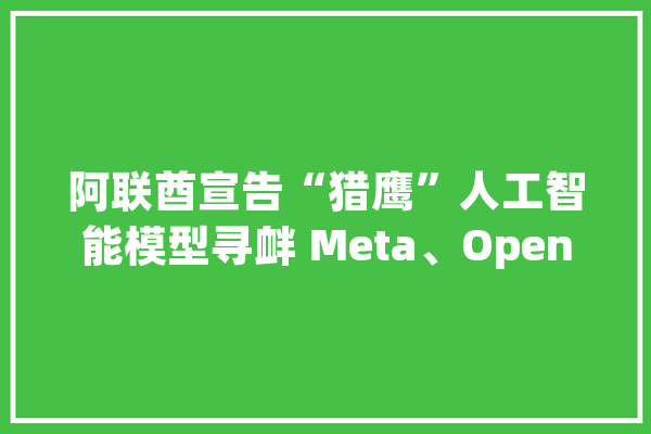 阿联酋宣告“猎鹰”人工智能模型寻衅 Meta、OpenAI_人工智能_阿布扎比