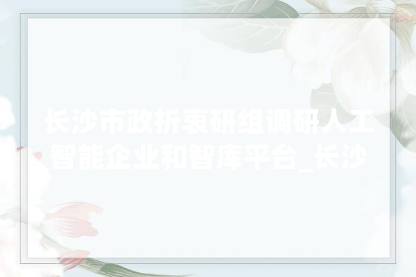 长沙市政折衷研组调研人工智能企业和智库平台_长沙_人工智能 AI快讯