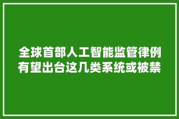 全球首部人工智能监管律例有望出台这几类系统或被禁用_人工智能_法案