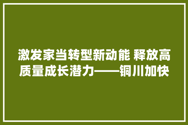 激发家当转型新动能 释放高质量成长潜力——铜川加快家当集群培植综述_铜川_家当 云服务
