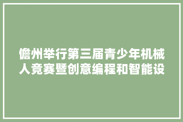 儋州举行第三届青少年机械人竞赛暨创意编程和智能设计大年夜赛指导教师培训活动_儋州_无人机 AI简讯