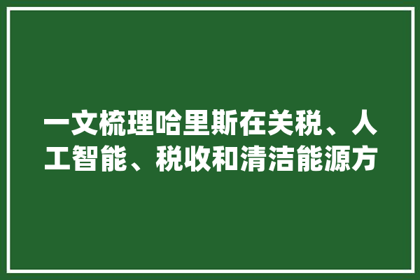 一文梳理哈里斯在关税、人工智能、税收和清洁能源方面有何主张_平易近主党_哈里 科技快讯