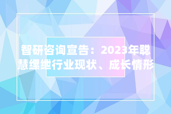 智研咨询宣告：2023年聪慧缧绁行业现状、成长情形及深度分析申报_聪明_牢狱
