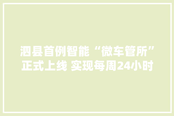 泗县首例智能“微车管所”正式上线 实现每周24小时不打烊做事_驾驶员_营业 计算机