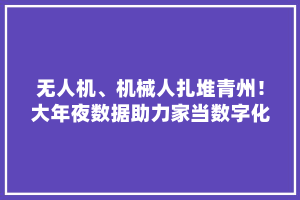 无人机、机械人扎堆青州！大年夜数据助力家当数字化新成长理解一下_家当_智能