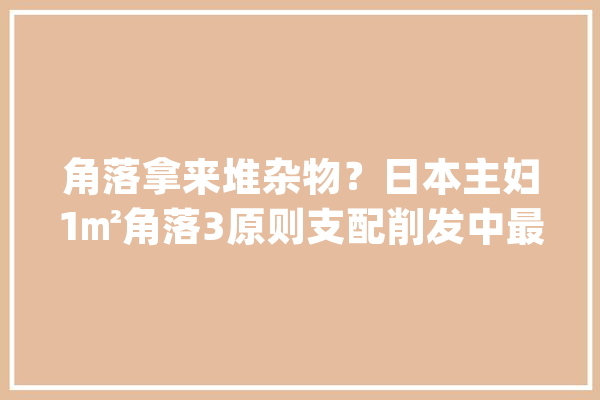 角落拿来堆杂物？日本主妇1㎡角落3原则支配削发中最高颜值区_起源_图片