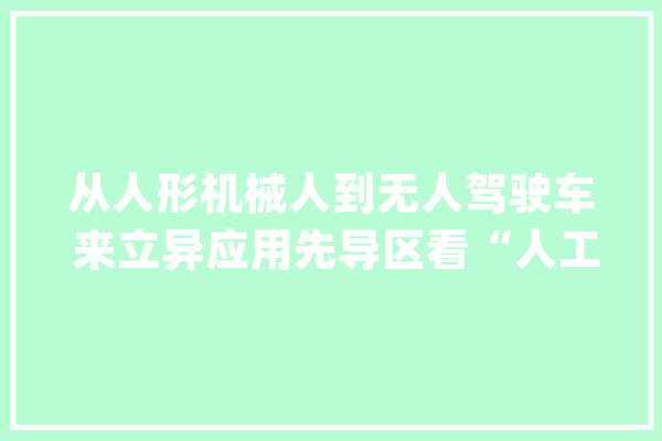 从人形机械人到无人驾驶车 来立异应用先导区看“人工智能+”落地_机械人_人形 计算机