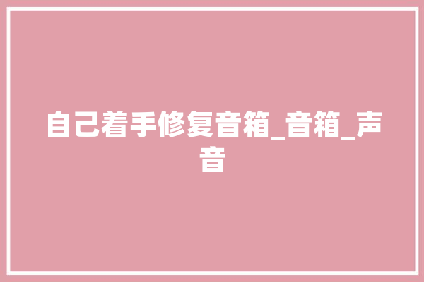 自己着手修复音箱_音箱_声音 智能助手