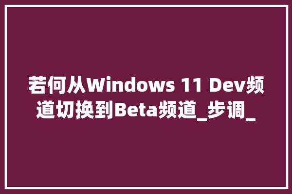 若何从Windows 11 Dev频道切换到Beta频道_步调_考试