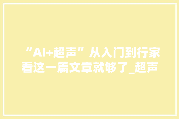 “AI+超声”从入门到行家 看这一篇文章就够了_超声_暗记