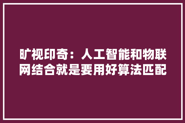 旷视印奇：人工智能和物联网结合就是要用好算法匹配好的传感器_算法_焦点 智能写作