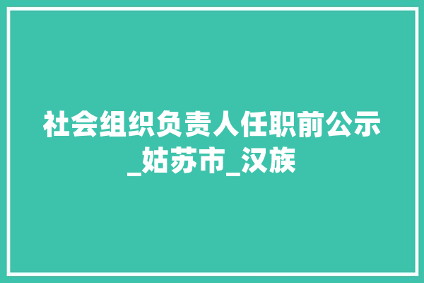 社会组织负责人任职前公示_姑苏市_汉族 云服务