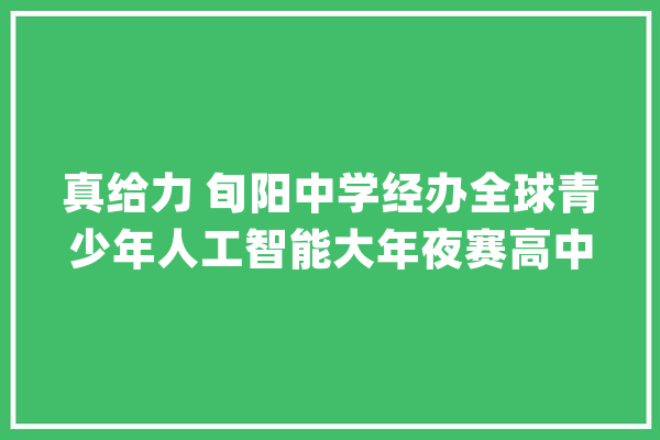 真给力 旬阳中学经办全球青少年人工智能大年夜赛高中组冠、亚、季军_旬阳_学生