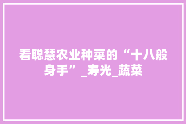 看聪慧农业种菜的“十八般身手”_寿光_蔬菜