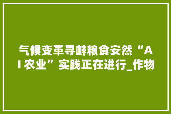 气候变革寻衅粮食安然“AI 农业”实践正在进行_作物_人工智能