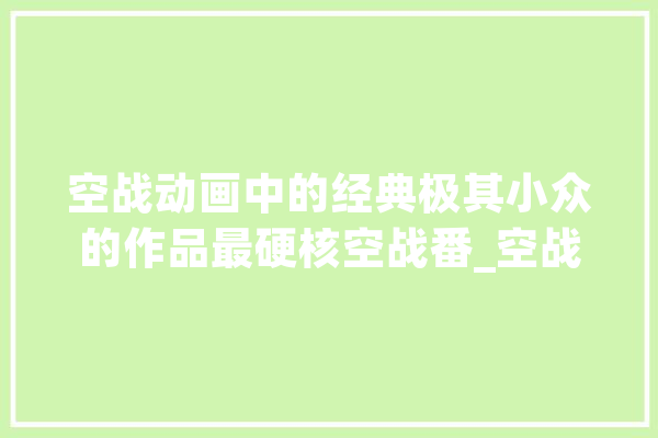 空战动画中的经典极其小众的作品最硬核空战番_空战_这是