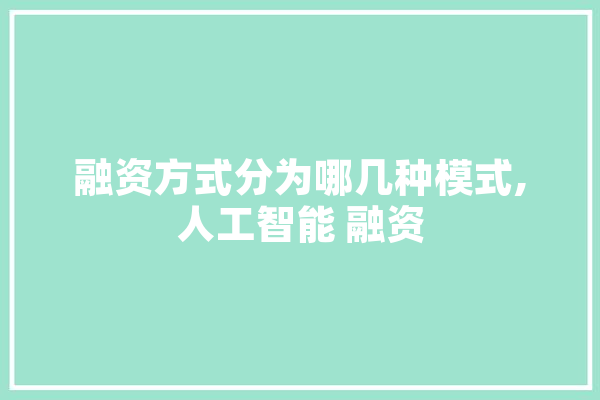融资方式分为哪几种模式,人工智能 融资