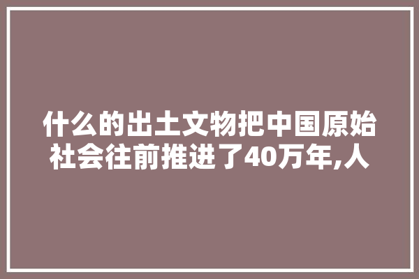 什么的出土文物把中国原始社会往前推进了40万年,人工智能骨片有什么用 AI快讯