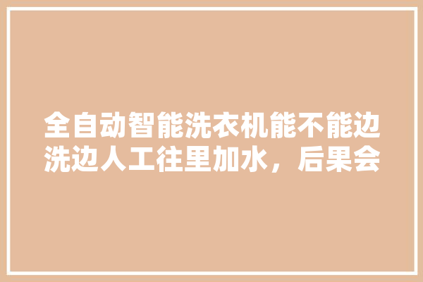 全自动智能洗衣机能不能边洗边人工往里加水，后果会怎么样,人工智能怕水吗
