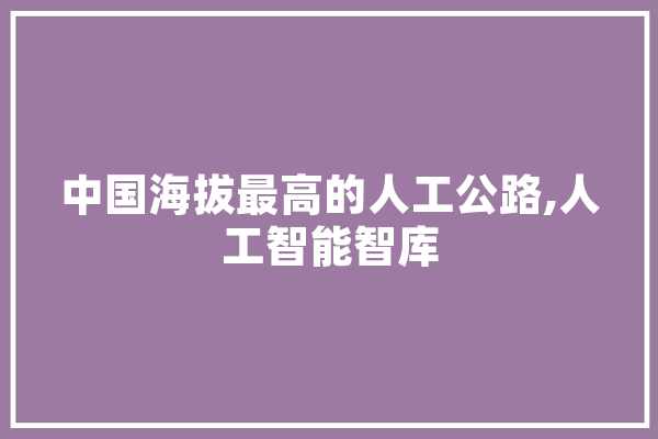 中国海拔最高的人工公路,人工智能智库 文字写作