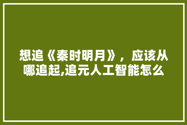 想追《秦时明月》，应该从哪追起,追元人工智能怎么样 智能助手