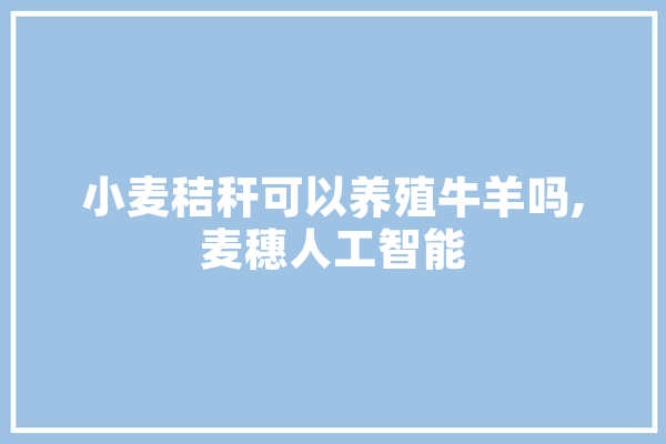 小麦秸秆可以养殖牛羊吗,麦穗人工智能