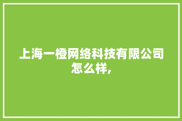 上海一橙网络科技有限公司怎么样,