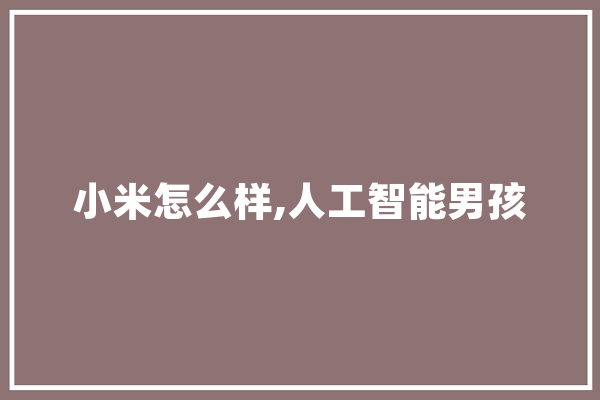 小米怎么样,人工智能男孩 云服务