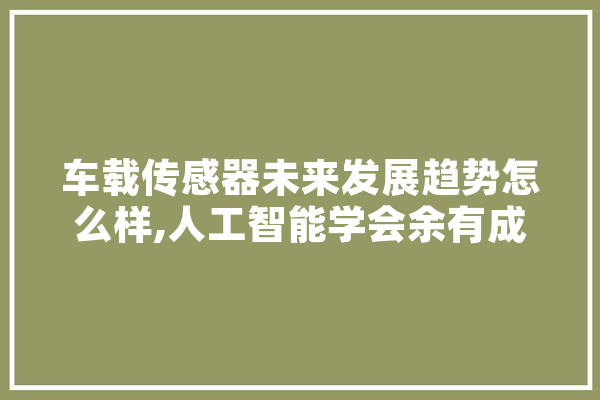 车载传感器未来发展趋势怎么样,人工智能学会余有成