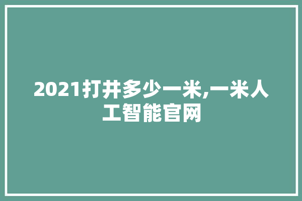 2021打井多少一米,一米人工智能官网 云服务