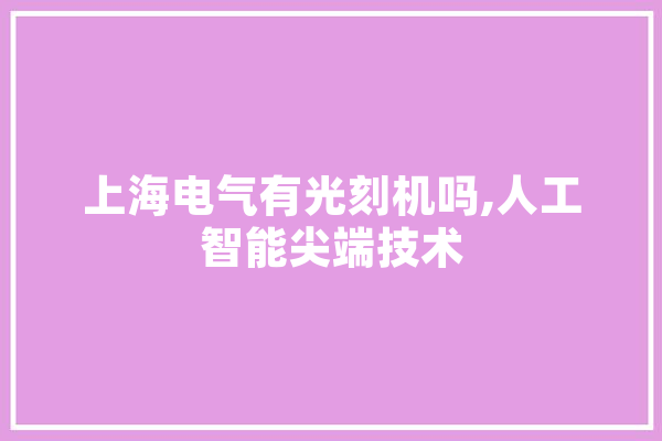 上海电气有光刻机吗,人工智能尖端技术 绘影字幕