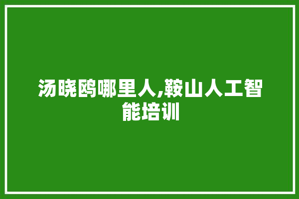 汤晓鸥哪里人,鞍山人工智能培训 智能问答