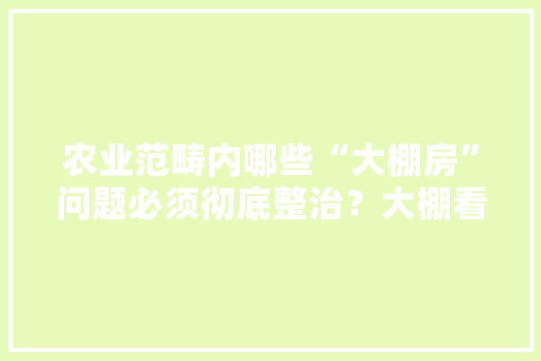 农业范畴内哪些“大棚房”问题必须彻底整治？大棚看护房指什么,人工智能租赁 绘影字幕
