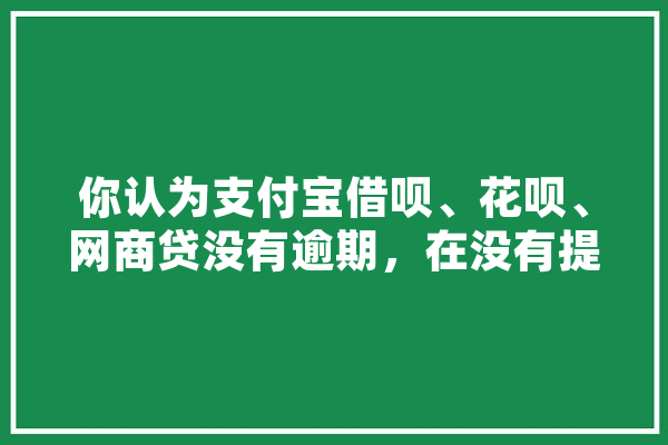 你认为支付宝借呗、花呗、网商贷没有逾期，在没有提前告知用户的情况下突然关闭合理吗,人工智能翎