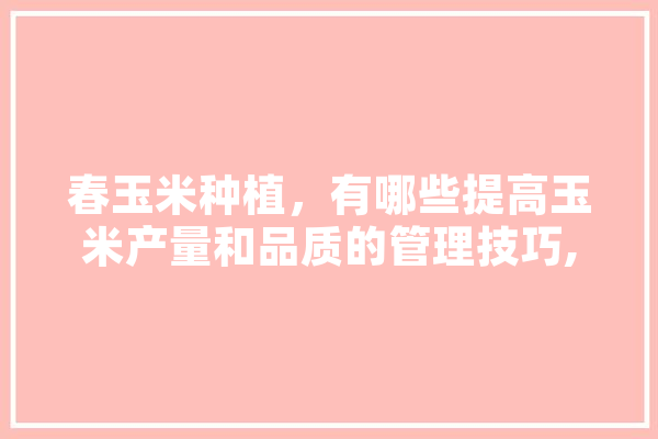 春玉米种植，有哪些提高玉米产量和品质的管理技巧,人工智能mobi AI快讯