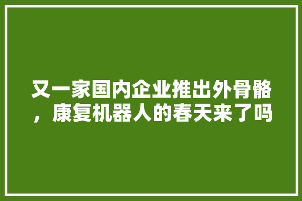 又一家国内企业推出外骨骼，康复机器人的春天来了吗,人工智能打拳