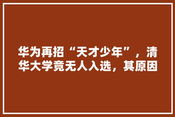 华为再招“天才少年”，清华大学竟无人入选，其原因到底为何,神通人工智能怎么样 智能问答