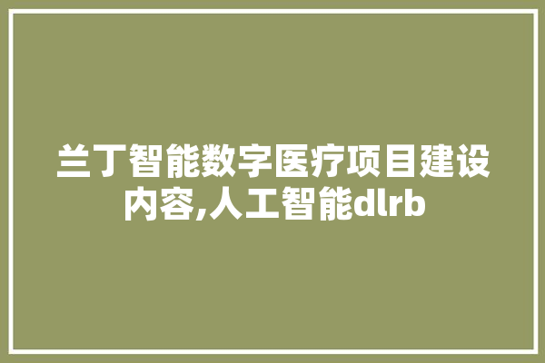 兰丁智能数字医疗项目建设内容,人工智能dlrb