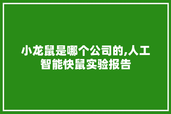 小龙鼠是哪个公司的,人工智能快鼠实验报告 文字写作
