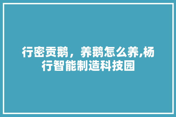 行密贡鹅，养鹅怎么养,杨行智能制造科技园
