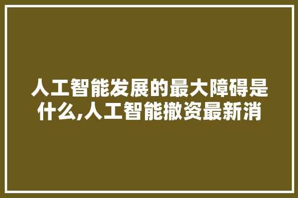 人工智能发展的最大障碍是什么,人工智能撤资最新消息 云服务