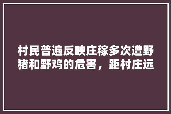 村民普遍反映庄稼多次遭野猪和野鸡的危害，距村庄远的耕地基本没有收成。有什么办法,人工智能的老师