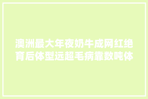 澳洲最大年夜奶牛成网红绝育后体型远超毛病靠数吨体重成为牛王！_农场主_牛牛
