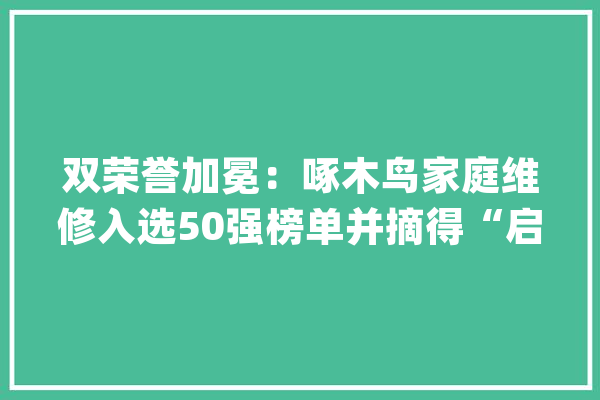 双荣誉加冕：啄木鸟家庭维修入选50强榜单并摘得“启明星”称号_啄木鸟_家庭